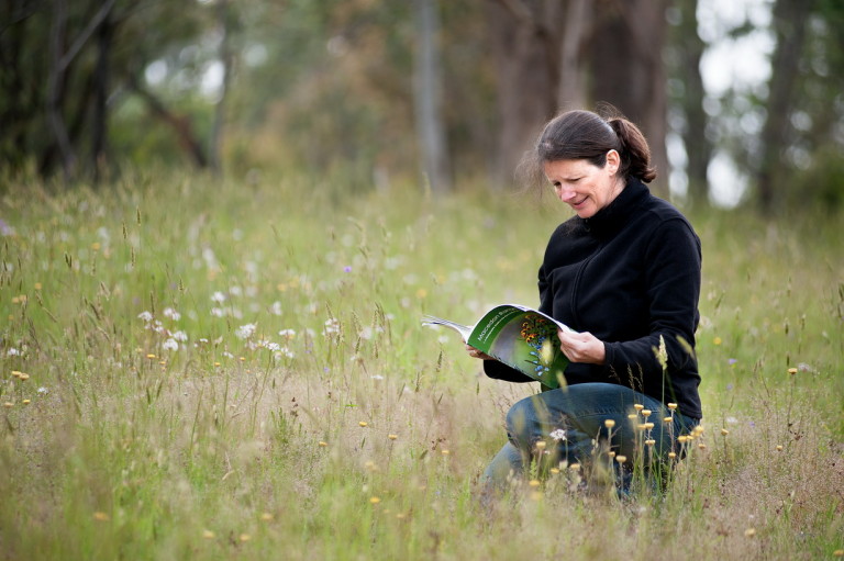 Woodend Landcare Treasurer Kate Daniel identifying precious grasslands for protection.