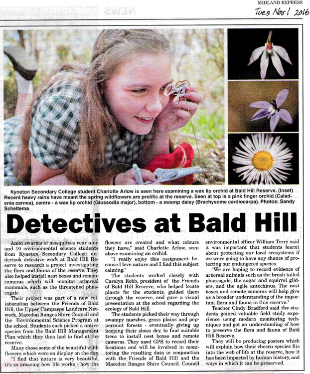 Midland Express Tuesday November 1st 2016