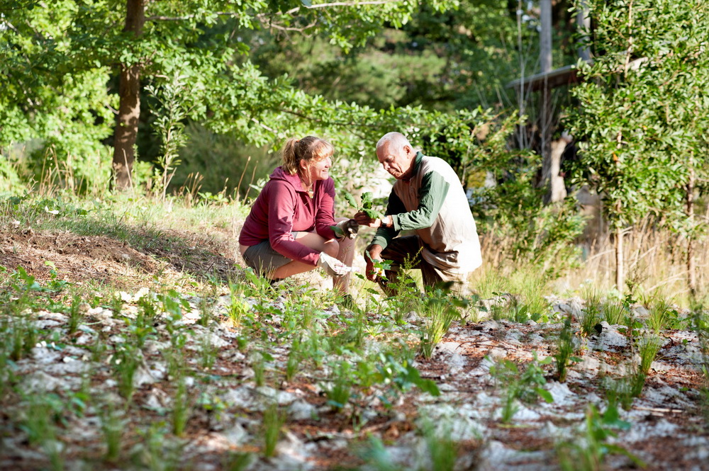 The new President of Woodend Landcare Krista Patterson - Majoor seen here with former President Peter Yates examining some plantings along Five Mile Creek.©Scheltema