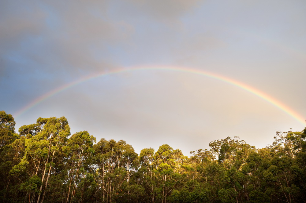 Summer rainbow over the Wombat Forest. ©Scheltema