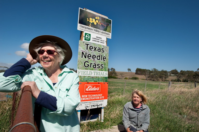 Jan Elder and barbara James from Campaspe Valley Landcare have been hard at working producing a booklet which aims to educate landowners on how to identify and eradicate texas needle grass.©Scheltema