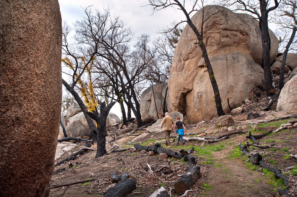 Visitors can once again enjoy the granite boulder country of Black Hill Reserve after it was recently reopened.©Scheltema