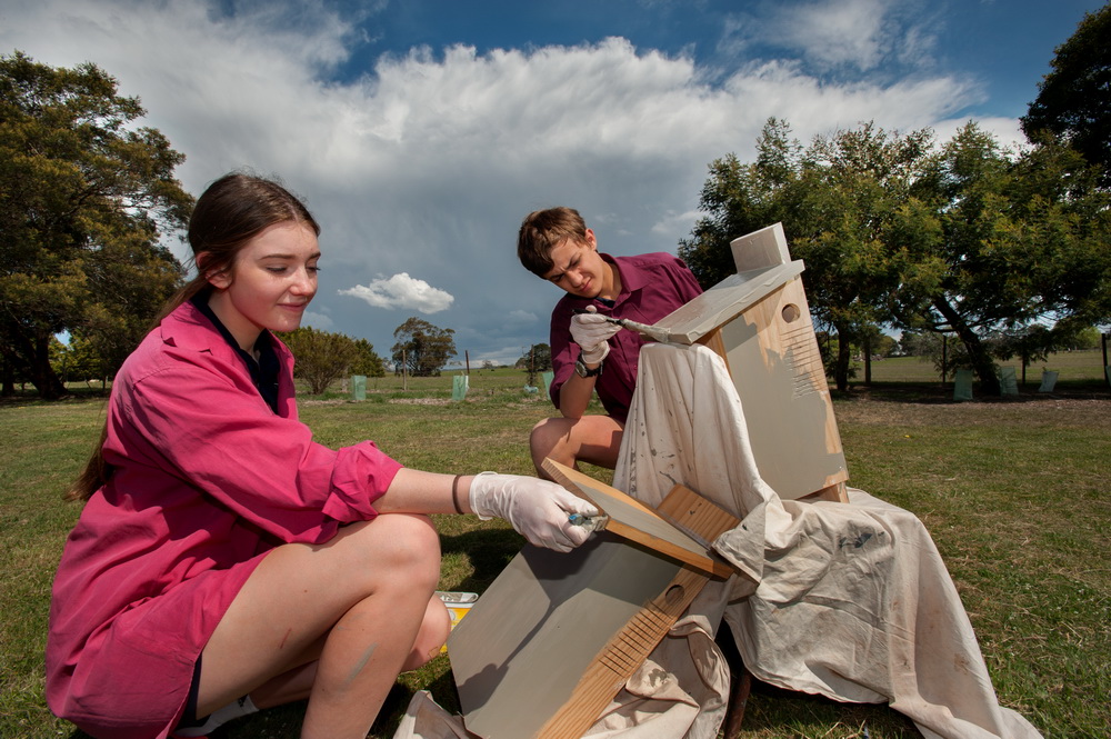 Braemar students hard at work painting nest boxes to be installed at Hanging Rock. ©Scheltema