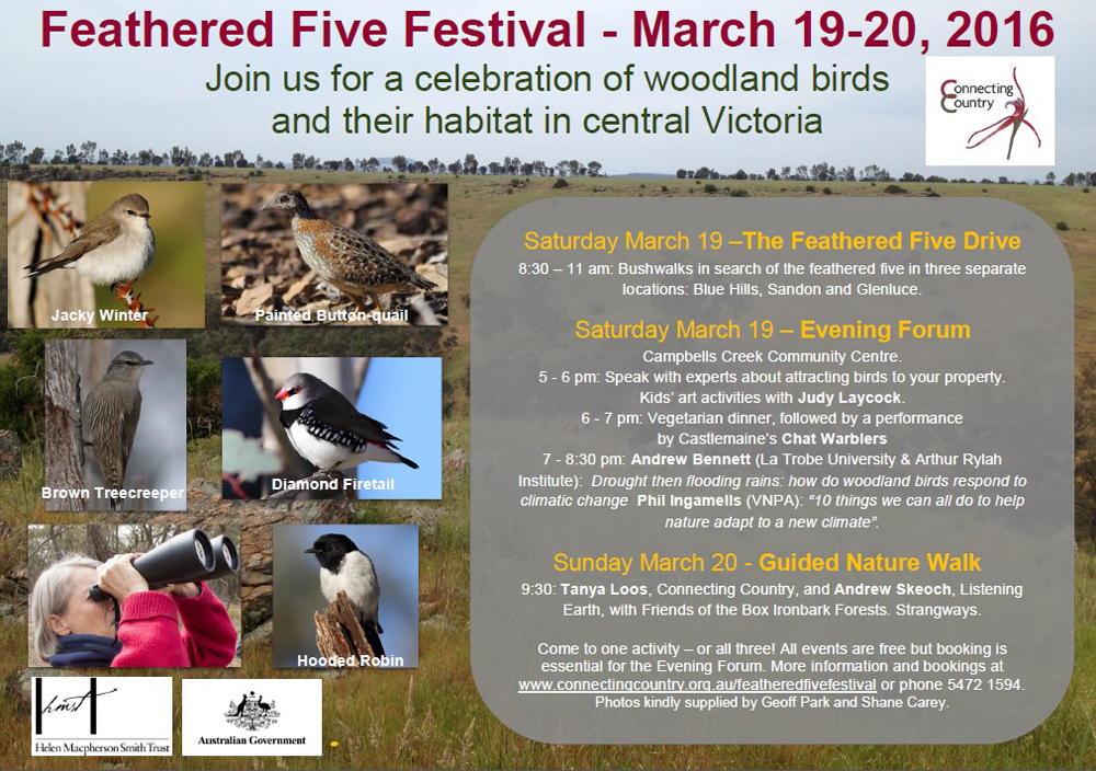 Feathered Five Festival Poster 2016