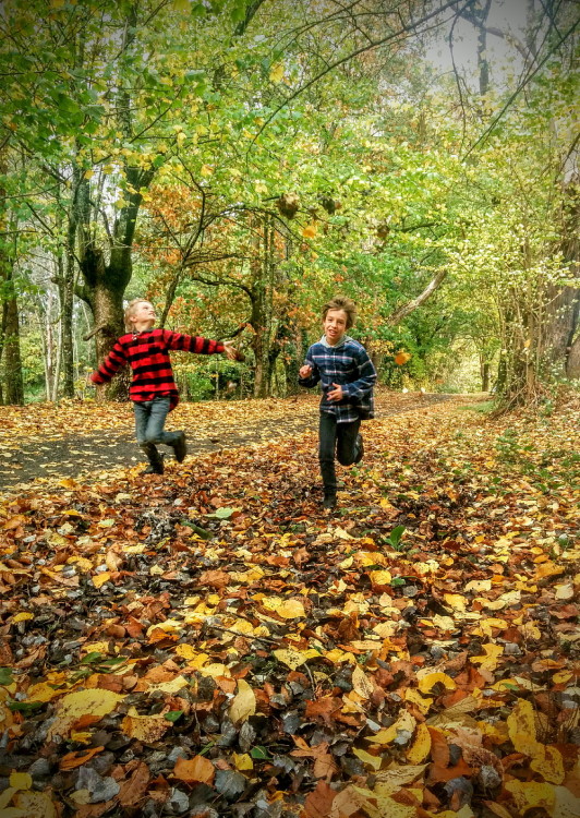 We have had an autumn of beautiful colors but not much rain until now! ©Scheltema 