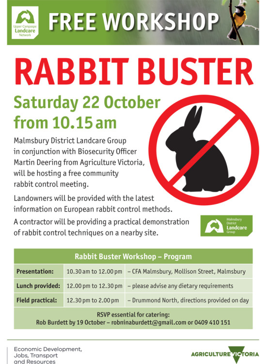 rabbit-buster-workshop-3