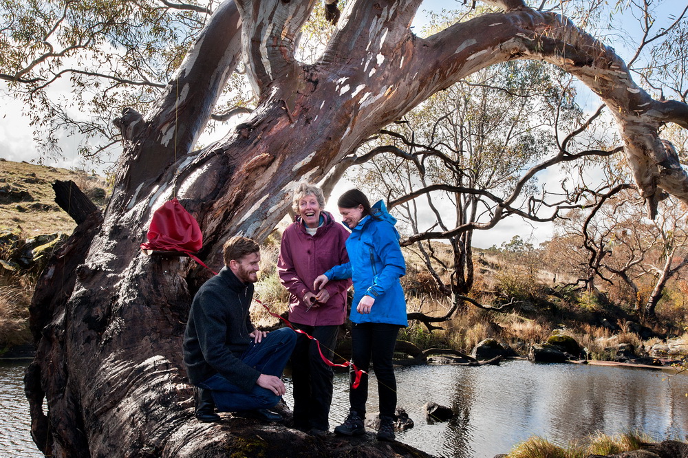 The UCLN Strategic   Plan being unveiled by Mayors from the Macedon Ranges and Mt Alexander Shires,Christine Henderson and  Jennifer Anderson,with Councillor Sebastian Klein from Hepburn Shire Council.The Plan was launched on a redgum tree on the banks of the Campaspe River in Langley.