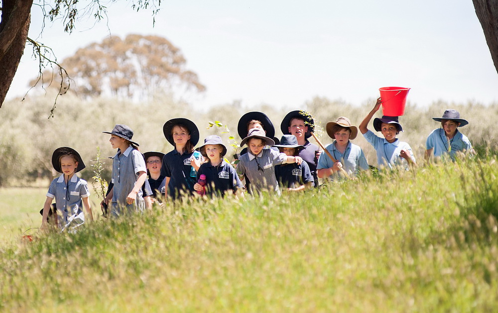 One Tree Per Child is part of the Australian Governments 20 Million Tree Program©Scheltema