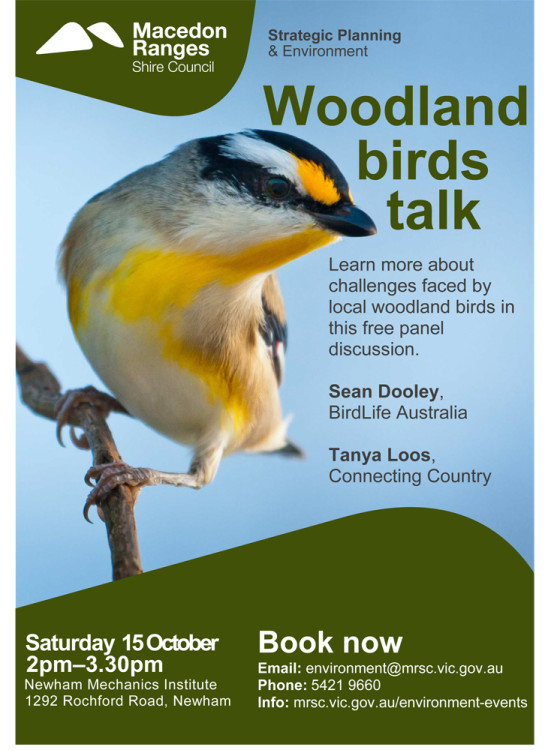 Woodland birds talk