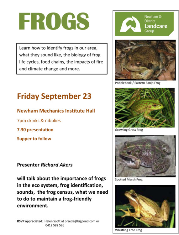 frogs_poster-3