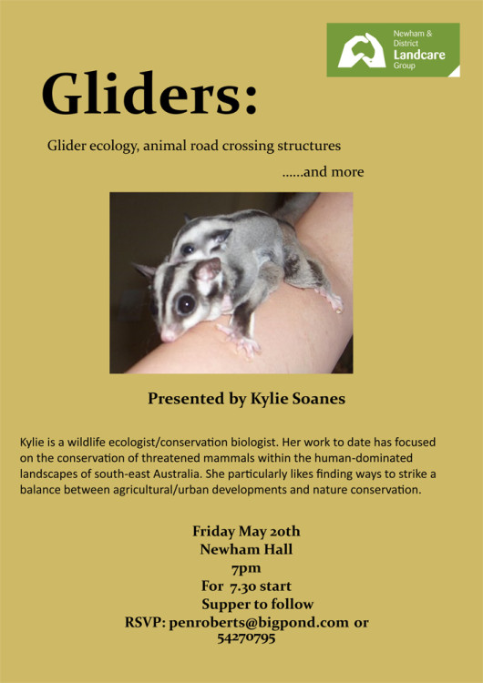 gliders flier (1)