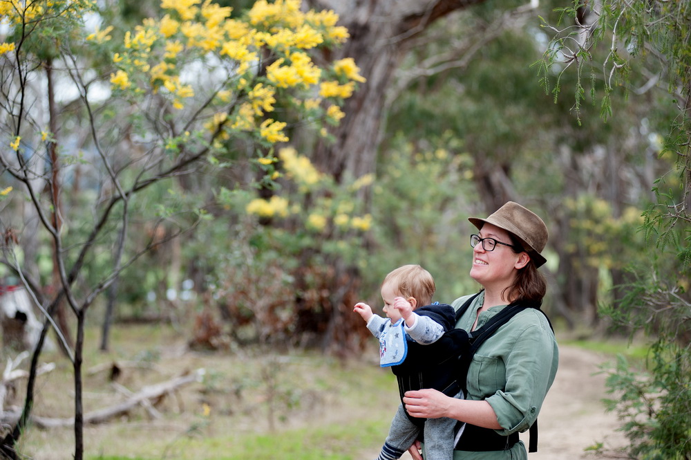 Enjoying the scent of wattle at spring time.  ©Scheltema