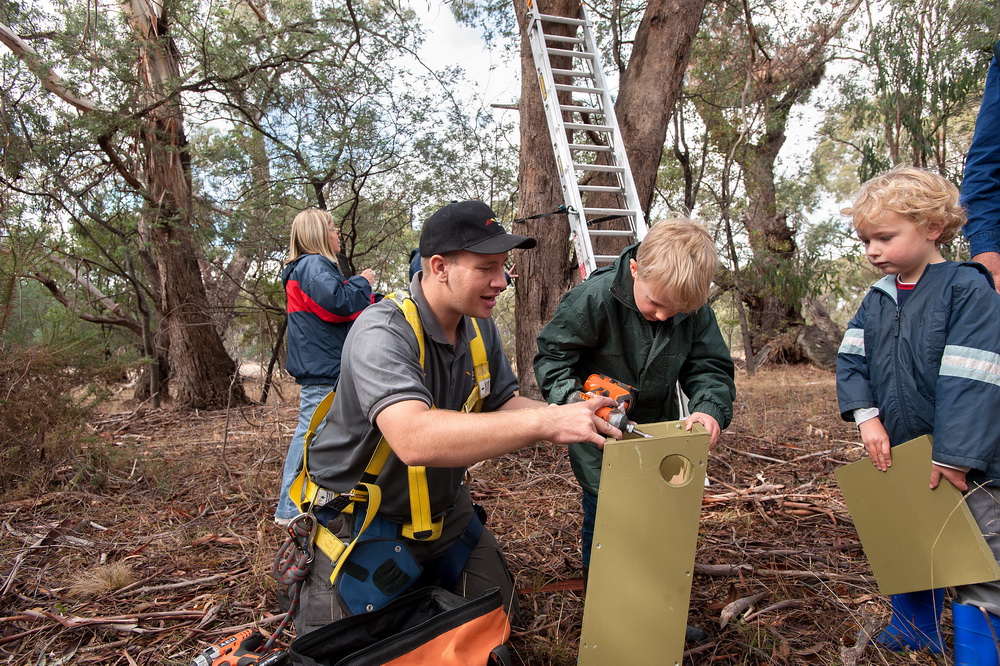 Austin and Oliver May (4 and 6 yrs old) were thrilled to be part of a team of people at Bald Hill Reserve on Saturday installing nest boxes for sugar gliders and phascogales. They are seen here with the Environmental Officer of Macedon Ranges Shire Council William Terry.Seven nest boxes were installed  on the day,which were made by the Woodend Mens Shed.The Friends group will work with council to install more in the coming months in an effort to increase the population of the gliders and phascogales. 