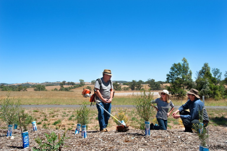 Weed warriors Phillip Don, Barbara James and John Stuwe from Campaspe Valley Landcare. Pic Scheltema